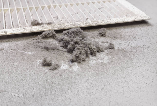 Best Local Air Duct Cleaning Services  in Panthersville, GA