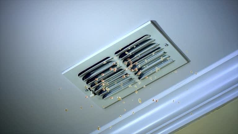 Reliable Panthersville, GA Airduct Cleaning Solutions